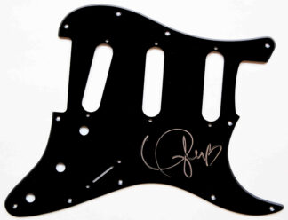 Taylor Swift<br>PICKGUARD