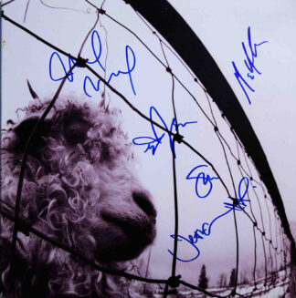 Pearl Jam<br>Vs.<br>1993