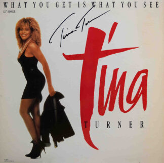 Tina Turner<br>What You Get Is What You See<br>1986