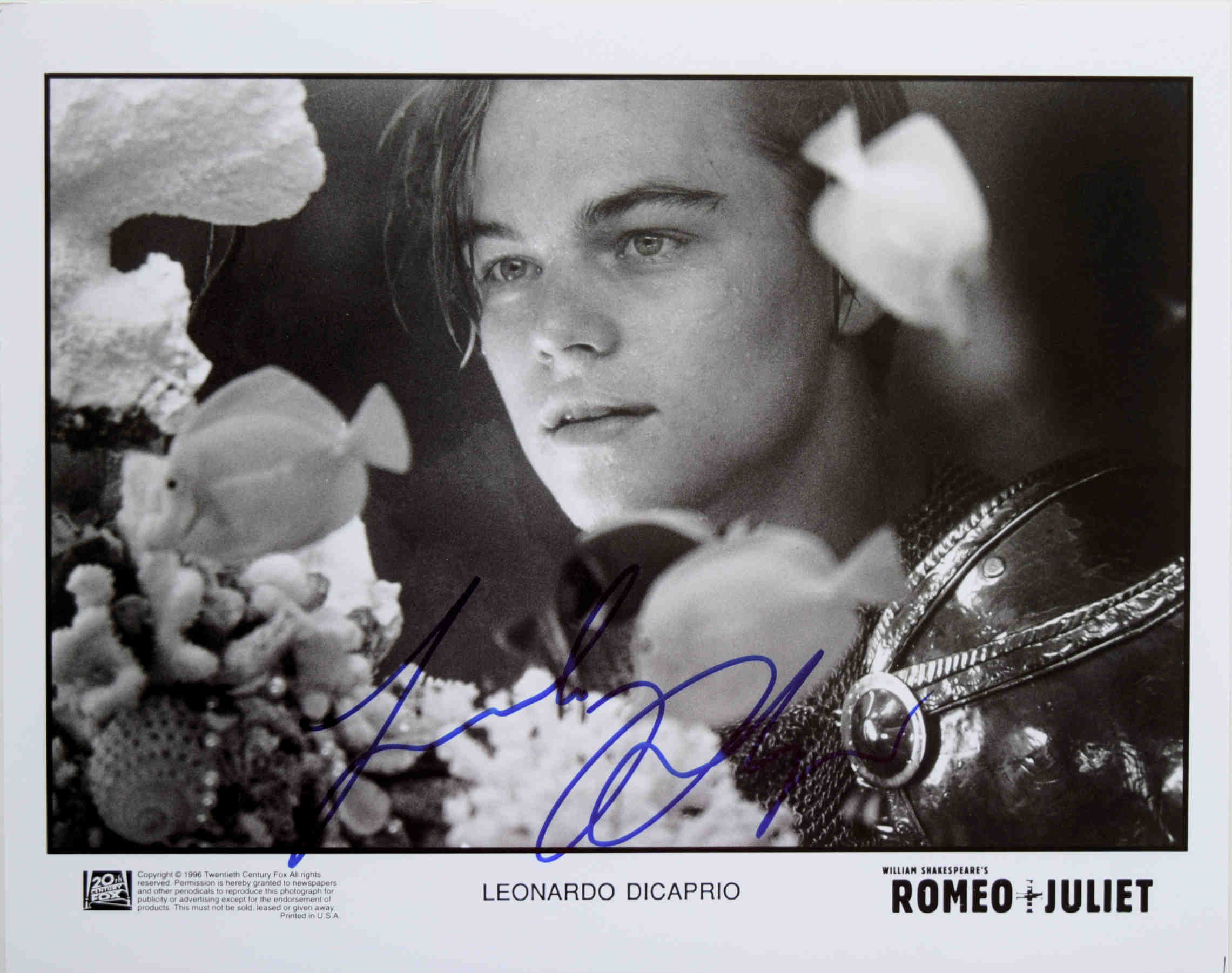 Leonardo DiCaprio<br>8 x 10 Photo