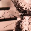 8 x 10 Black and White Photo-12886
