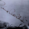 8 x 10 Black and White Photo-17176