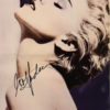 11 x 22 Insert Poster-0